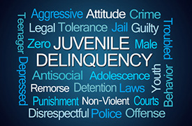 Juvenile Defense